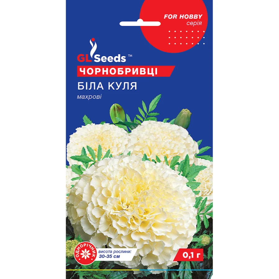 чорнобривці