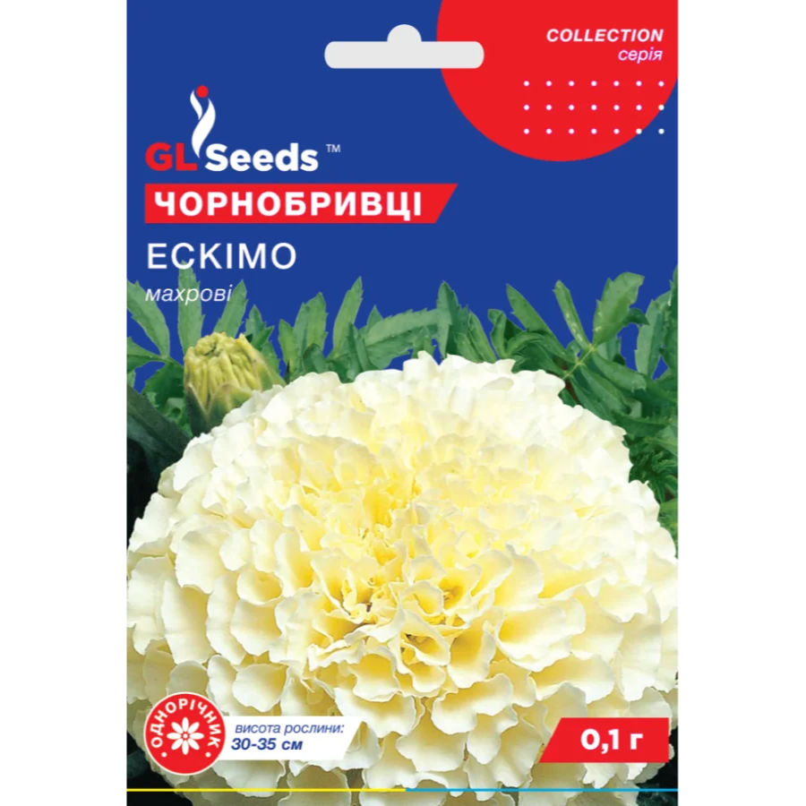 чорнобривці