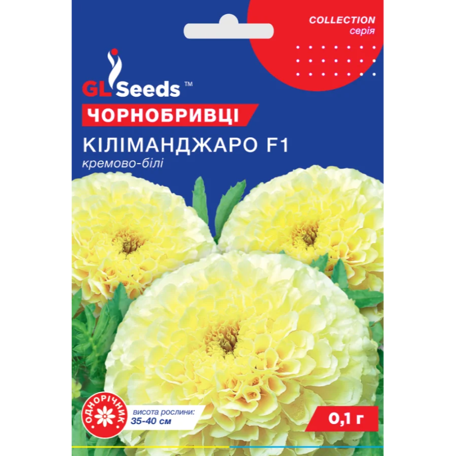 чорнобривці
