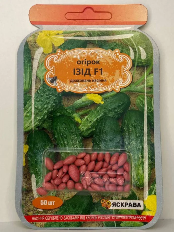 Ізід