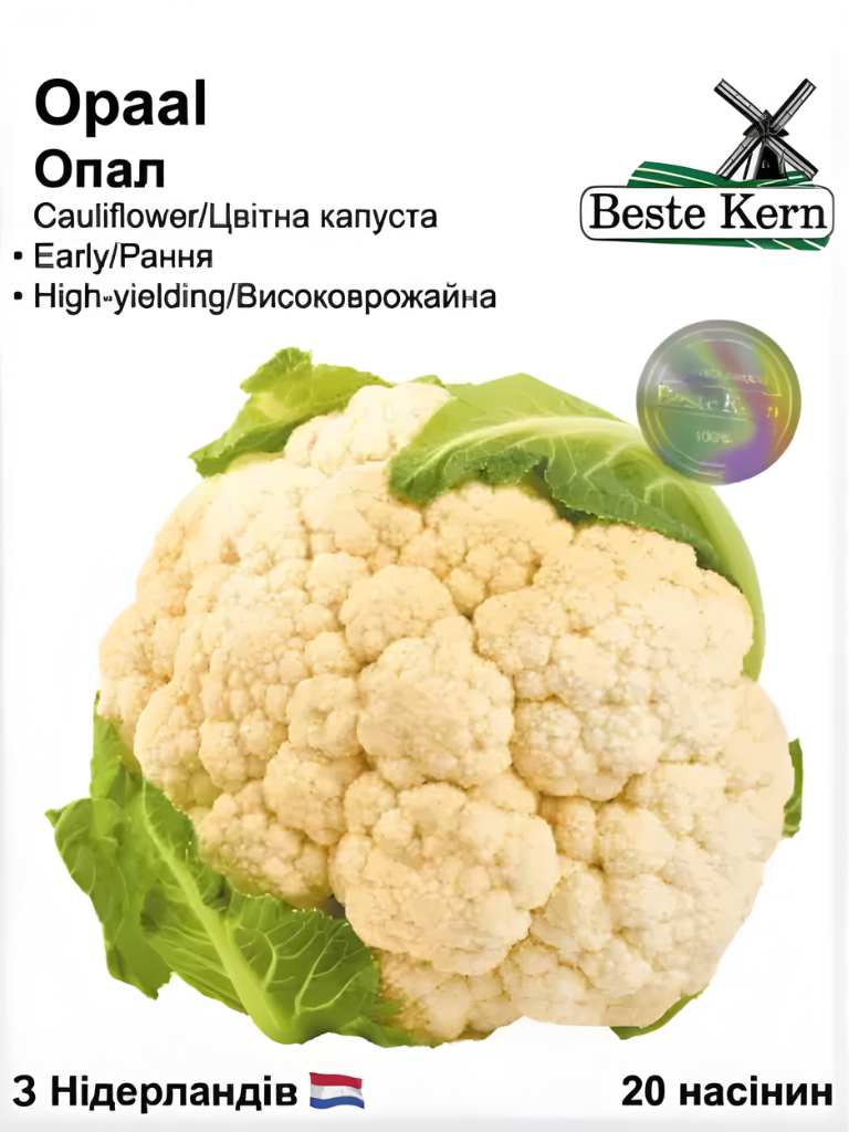 Капуста цвітна Опал