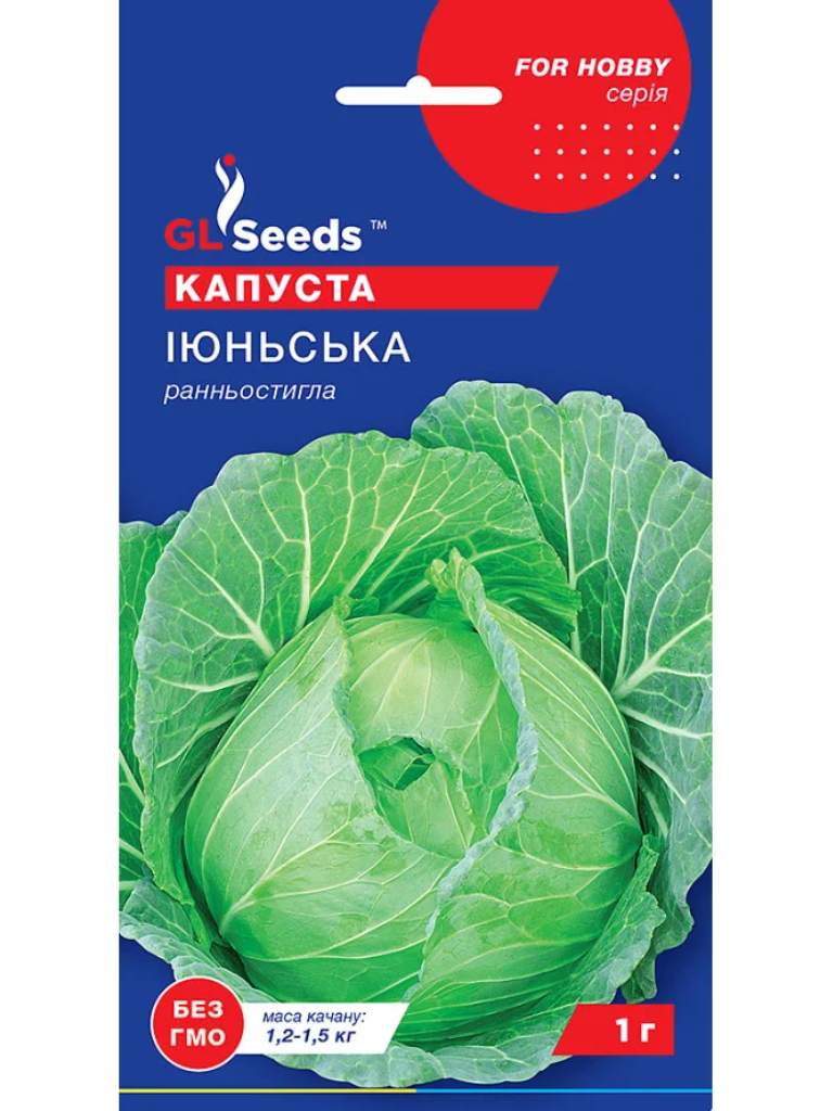 Капуста білокачанна Іюньська