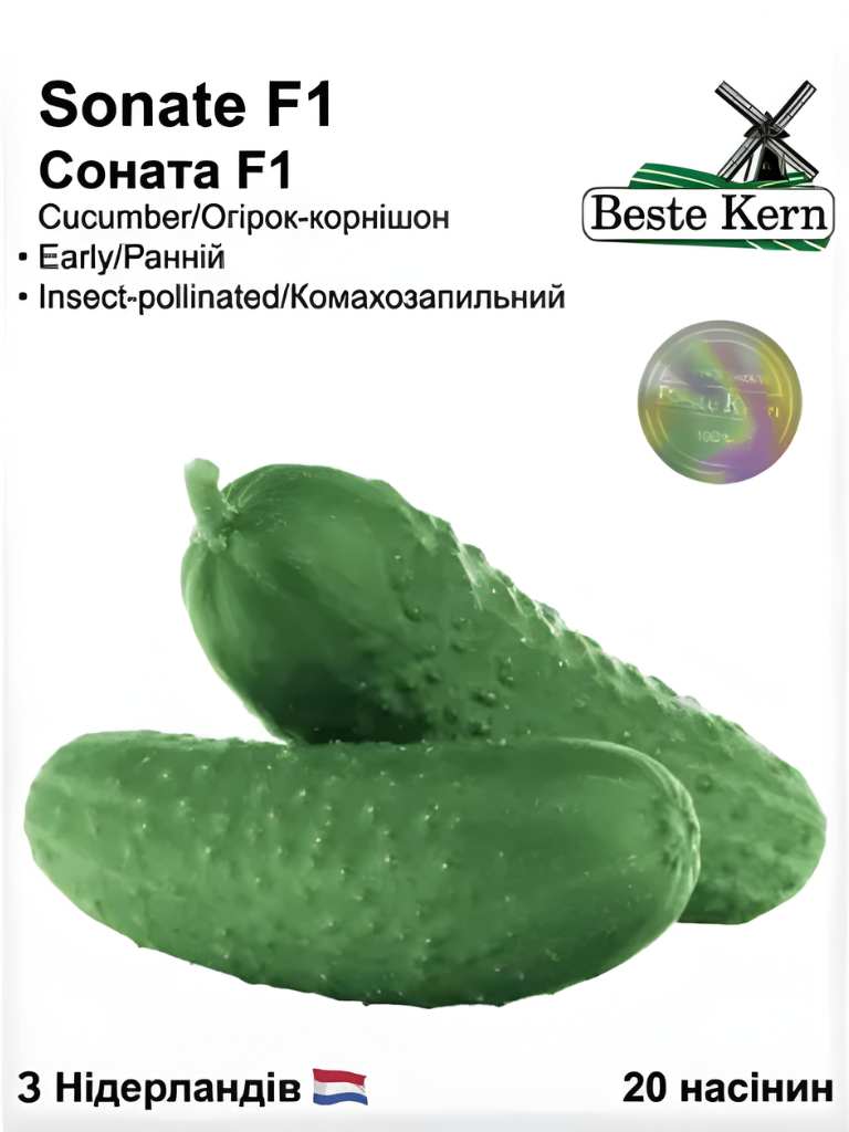 Соната