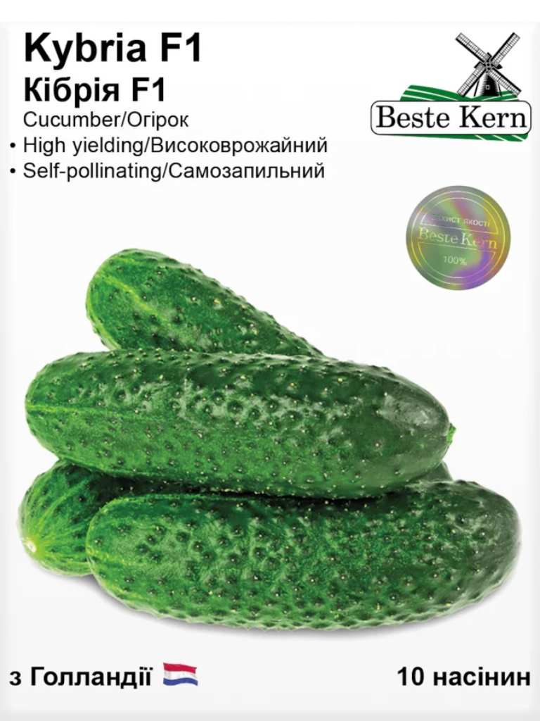 Кібрія