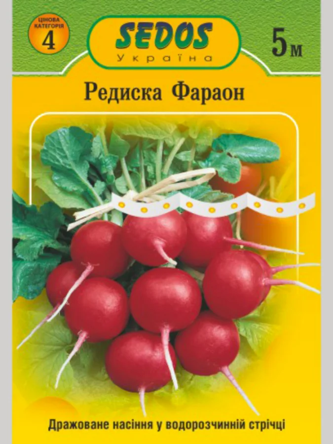 Редиска Фараон